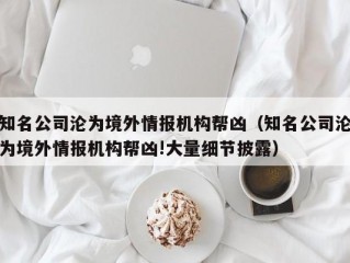 知名公司沦为境外情报机构帮凶（知名公司沦为境外情报机构帮凶!大量细节披露）