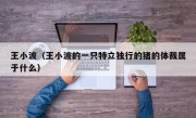 王小波（王小波的一只特立独行的猪的体裁属于什么）