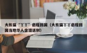 大熊猫“丫丫”启程回国（大熊猫丫丫启程回国当地华人含泪送别）