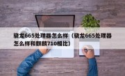 骁龙665处理器怎么样（骁龙665处理器怎么样和麒麟710相比）