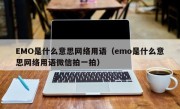 EMO是什么意思网络用语（emo是什么意思网络用语微信拍一拍）