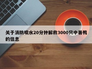 关于消防喷水20分钟解救3000只中暑鸭的信息