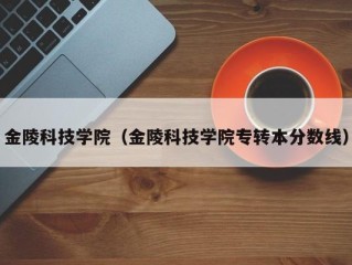 金陵科技学院（金陵科技学院专转本分数线）