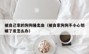 被自己家的狗狗捅出血（被自家狗狗不小心划破了皮怎么办）