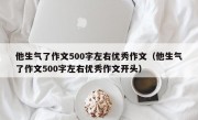 他生气了作文500字左右优秀作文（他生气了作文500字左右优秀作文开头）