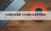 sub是什么意思（sub是什么意思性取向）