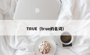 TRUE（true的名词）