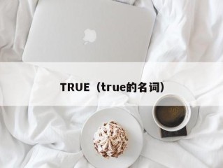 TRUE（true的名词）