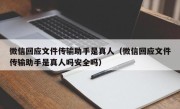 微信回应文件传输助手是真人（微信回应文件传输助手是真人吗安全吗）