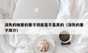 消失的她里的妻子到底是不是真的（消失的妻子简介）