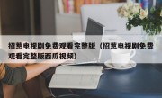 招惹电视剧免费观看完整版（招惹电视剧免费观看完整版西瓜视频）