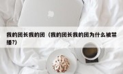 我的团长我的团（我的团长我的团为什么被禁播?）