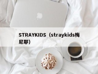 STRAYKIDS（straykids梅尼耶）