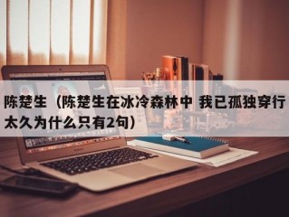 陈楚生（陈楚生在冰冷森林中 我已孤独穿行太久为什么只有2句）