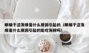 眼睛干涩发痒是什么原因引起的（眼睛干涩发痒是什么原因引起的能吃海鲜吗）