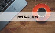 PMS（pmsg是啥）