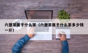 六堡茶属于什么茶（六堡茶属于什么茶多少钱一斤）